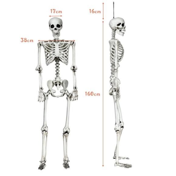 Costway 5.4ft Halloween Skeleton Life Size Realistic Full Body Hanging with - Picture 3 of 7